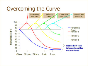 ラッセルの復習曲線のグラフ